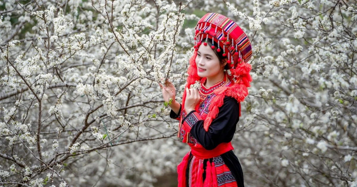 Which month is the most beautiful to see Hồng Thái Le flowers? Experience in choosing outfits and check-in corners
