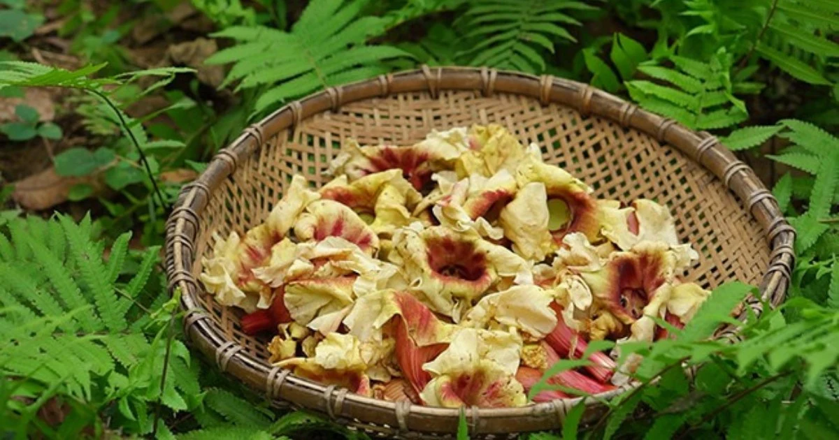 18 Tuyên Quang specialties you should try and buy as unique gifts