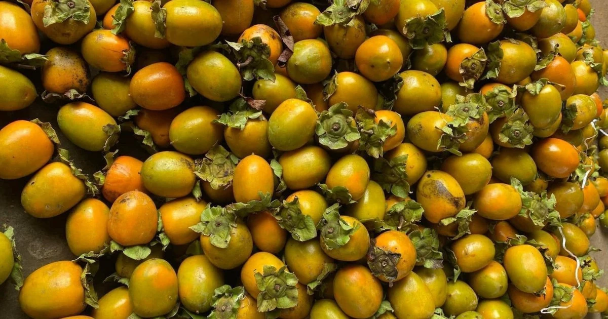 18 Tuyên Quang specialties you should try and buy as unique gifts