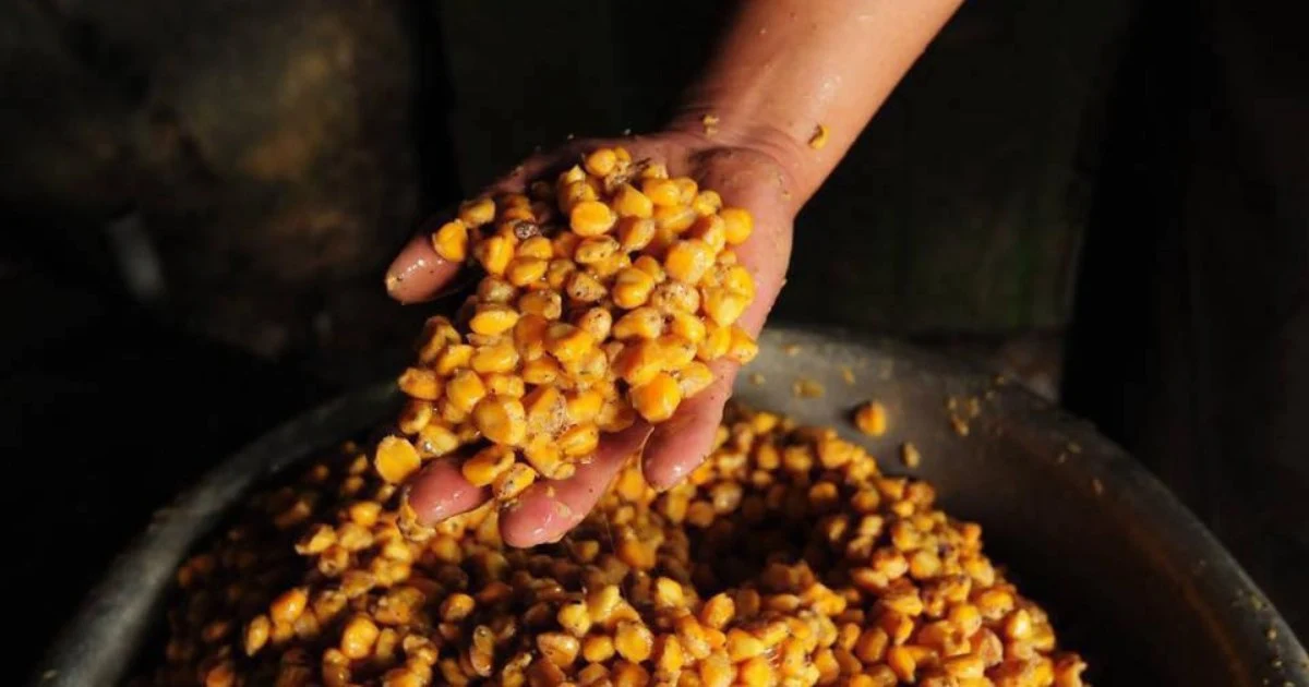 18 Tuyên Quang specialties you should try and buy as unique gifts