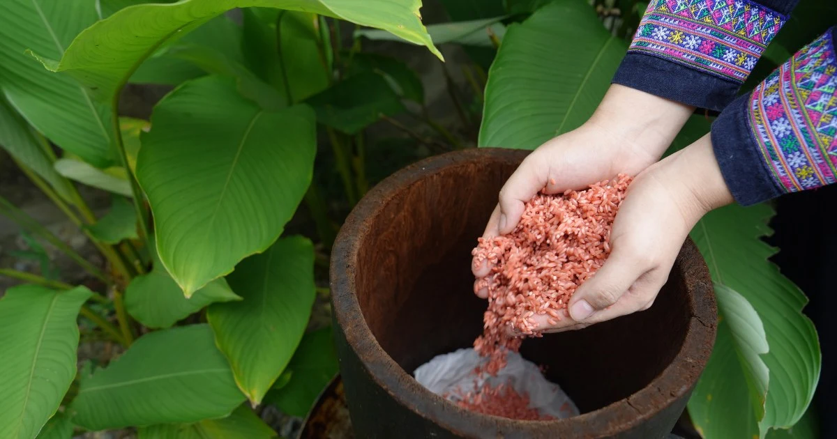 Tày community - A piece of the puzzle that makes up the identity of Tuyên Quang tourism