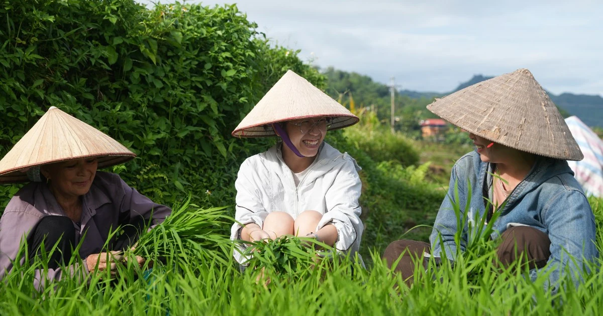Tày community - A piece of the puzzle that makes up the identity of Tuyên Quang tourism