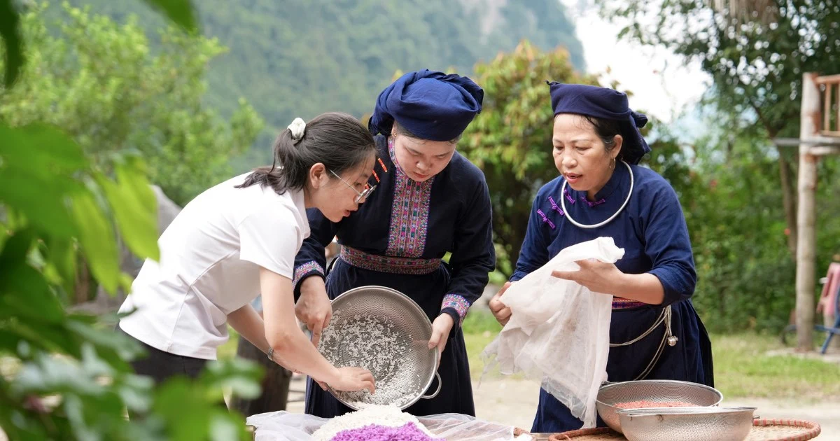 Tay wedding - A unique feature that makes Tuyên Quang tourism attractive