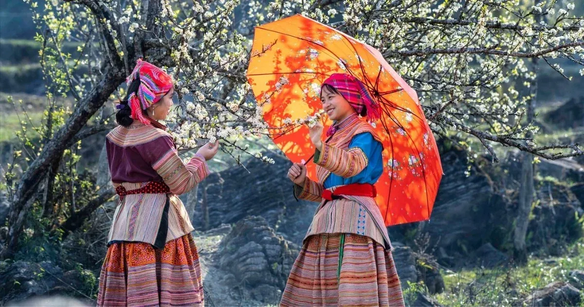 Vietnamese Tet Culture: 15 Customs that make up the traditional Tet identity