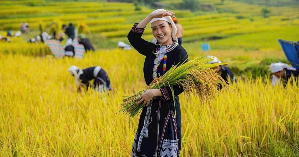 The Best Time to Travel to Tuyên Quang: Discover the Beauty of Four Seasons