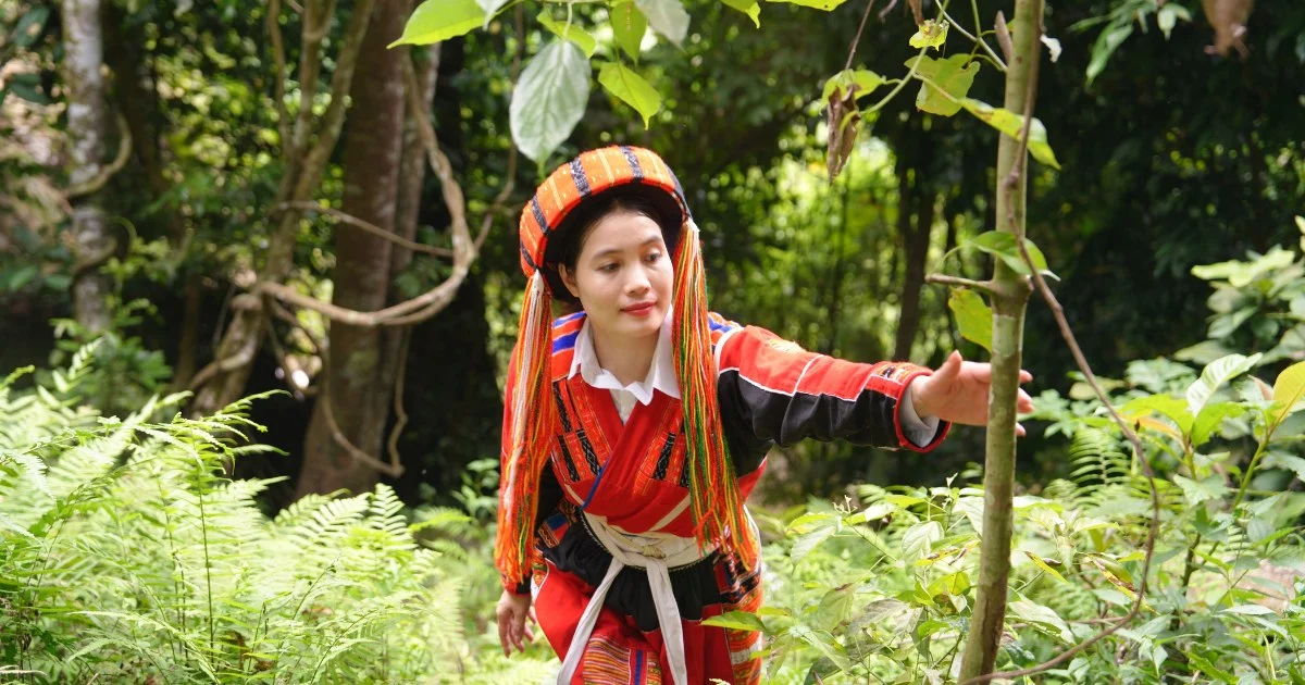 The Best Time to Travel to Tuyên Quang: Discover the Beauty of Four Seasons