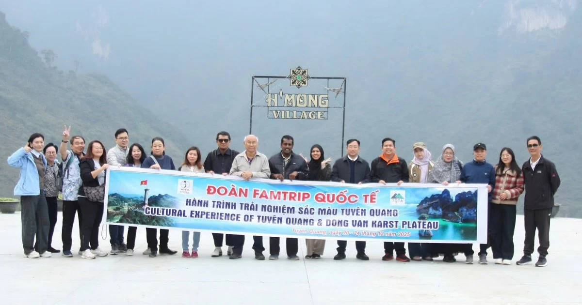 Private Tour or Group Tour: Which is the Right Option for You?