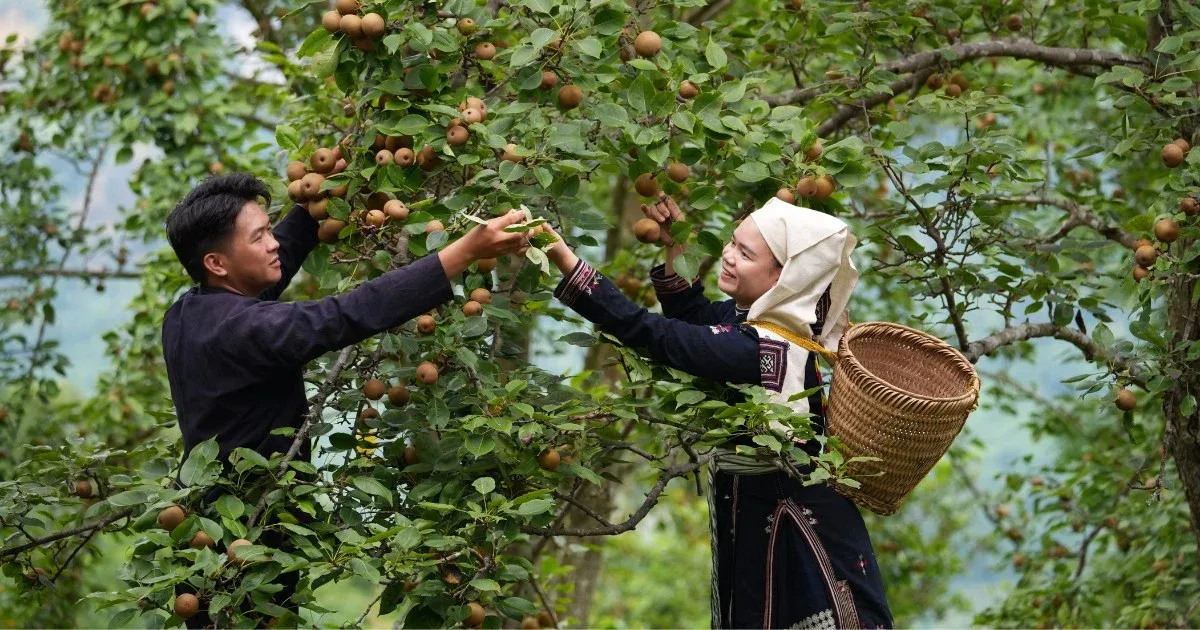 Experience in preparing luggage when traveling to the mountainous regions of Northern Vietnam