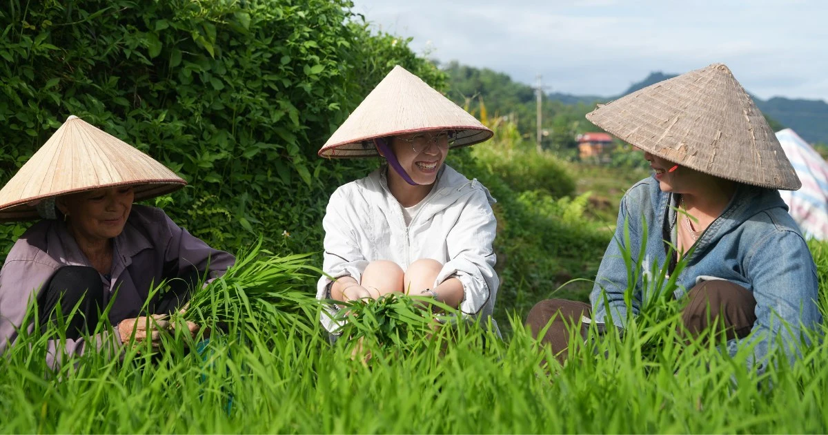 Responsible tourism: Preserving the original beauty of the highland villages of Northern Vietnam