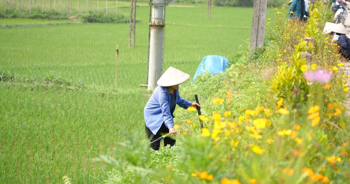 Responsible tourism: Preserving the original beauty of the highland villages of Northern Vietnam