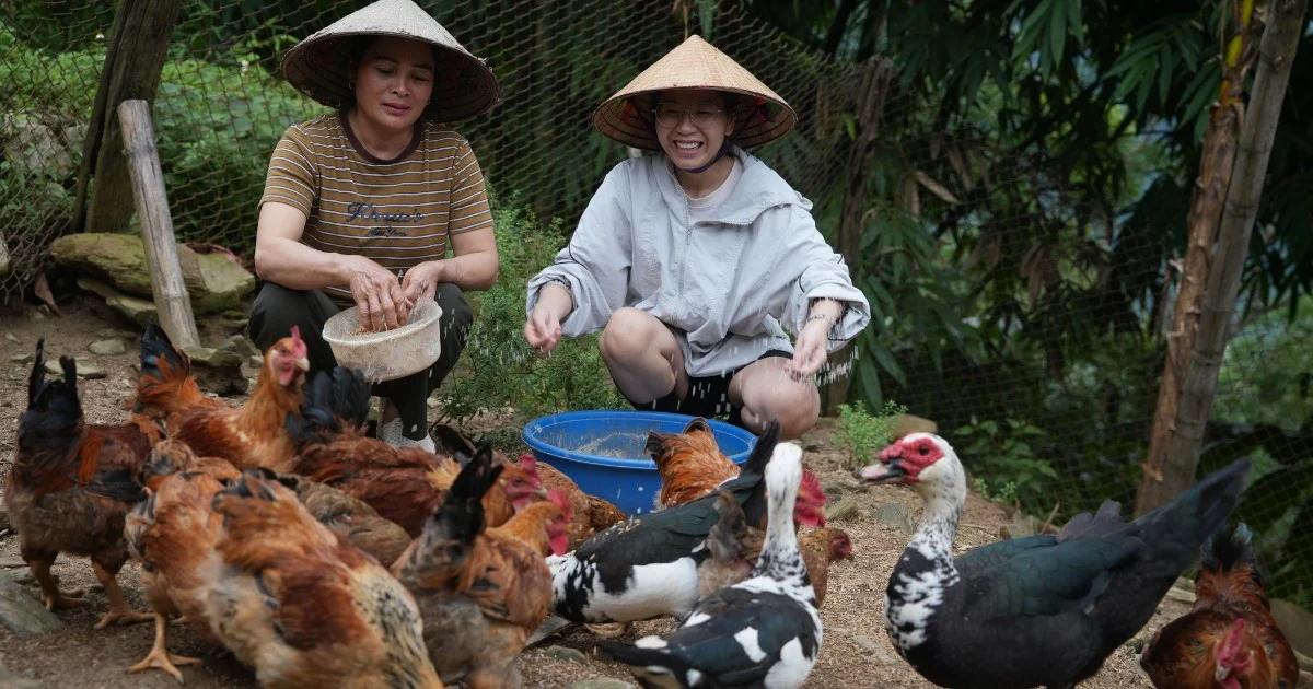 Responsible tourism: Preserving the original beauty of the highland villages of Northern Vietnam