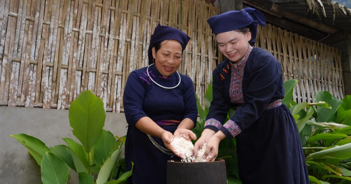 Unique Heritage of the Northeast Region - Discovering the Brocade Weaving Profession of the Tày People in Tuyên Quang